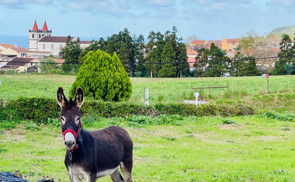 Quinta Do Avo Dimas - Rural Home - Sao Bras Porto Formoso Екстериор снимка