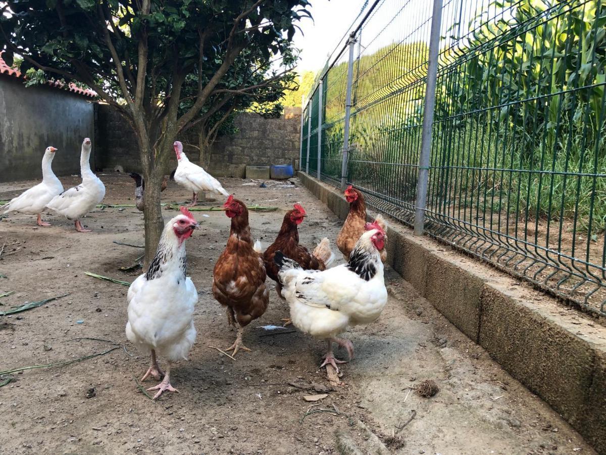 Quinta Do Avo Dimas - Rural Home - Sao Bras Porto Formoso Екстериор снимка
