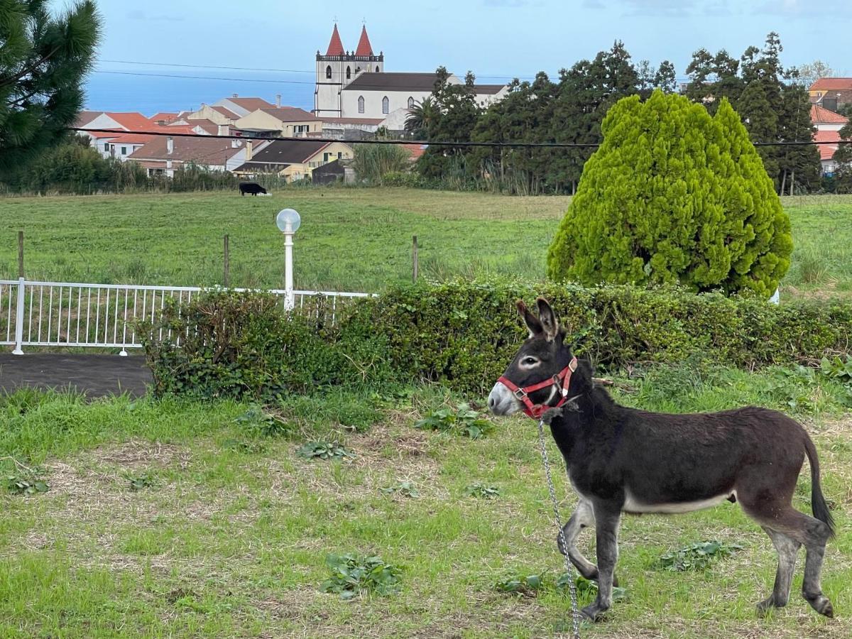 Quinta Do Avo Dimas - Rural Home - Sao Bras Porto Formoso Екстериор снимка